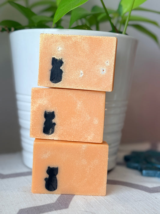 Black Cat (Palm Size)